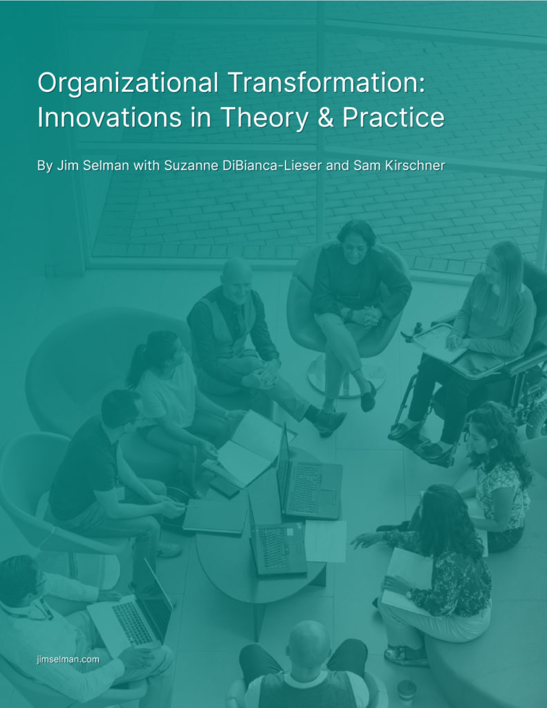 Organizational-Transformation----Innovations-in-Theory-&-Practice-(updated-cover)